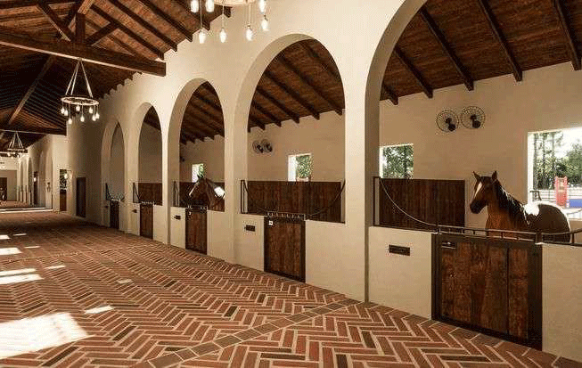 JGE—The-Next-Chapter-23